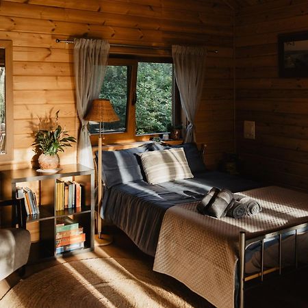 Berzu Namelis - Birch Cabin Kutsyuny Exterior foto