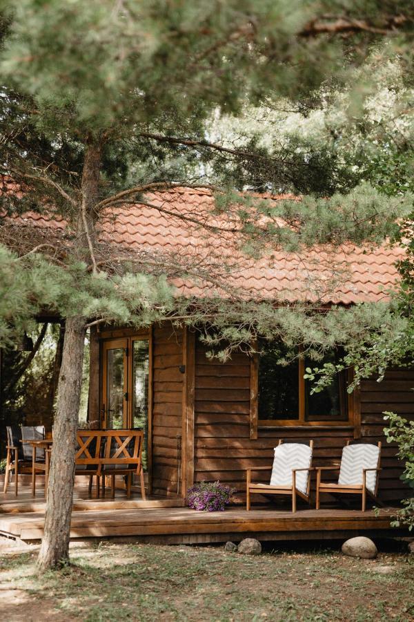 Berzu Namelis - Birch Cabin Kutsyuny Exterior foto
