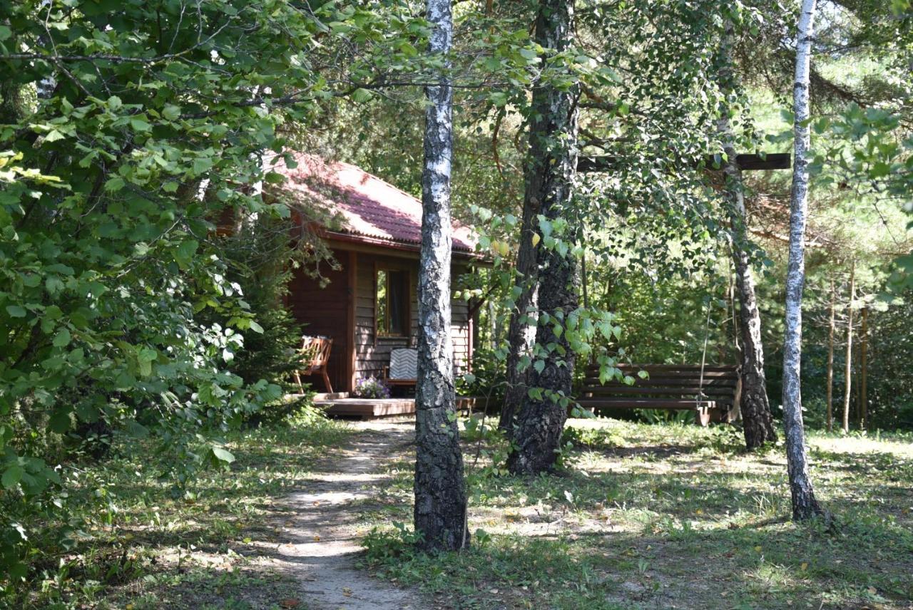 Berzu Namelis - Birch Cabin Kutsyuny Exterior foto