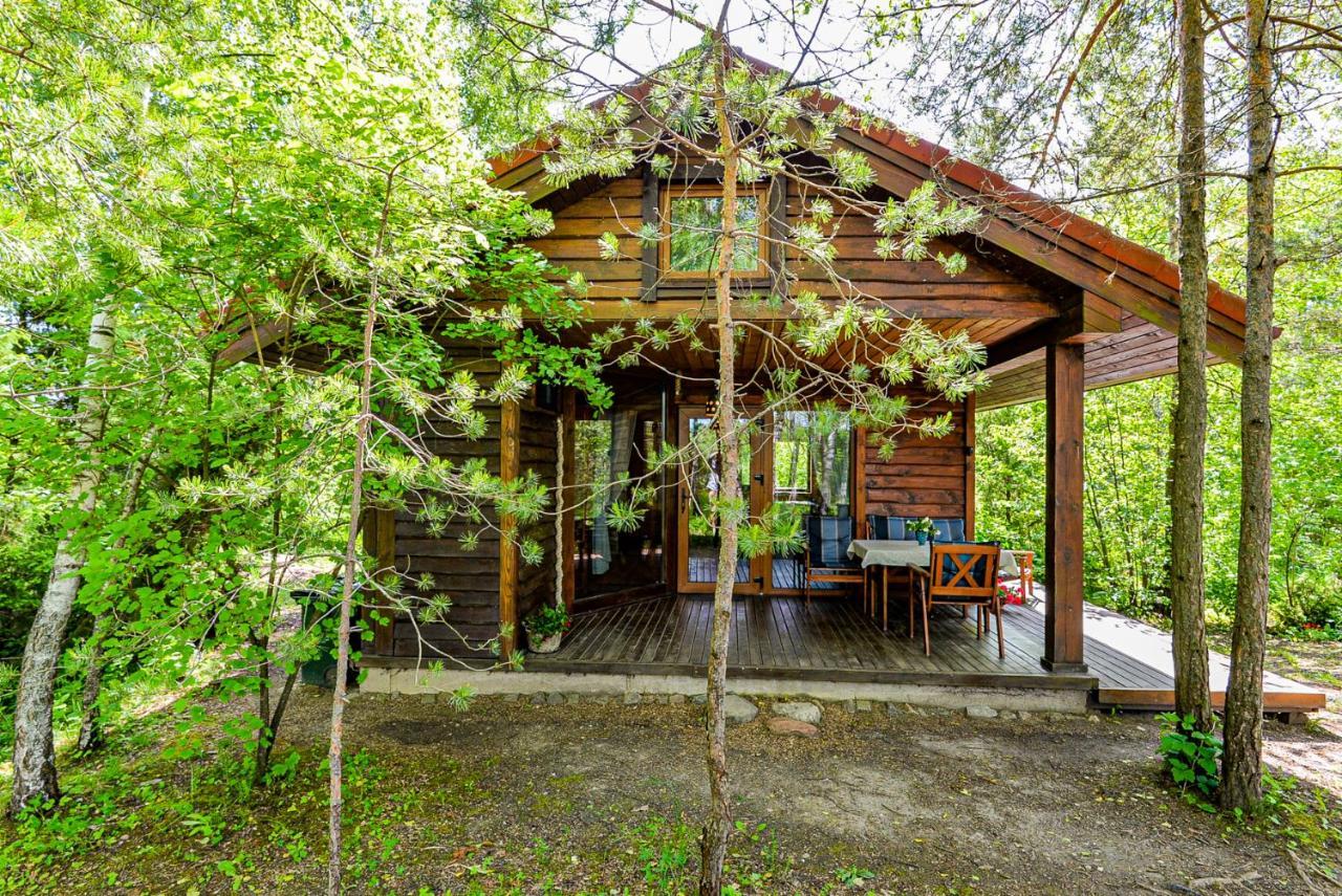 Berzu Namelis - Birch Cabin Kutsyuny Exterior foto