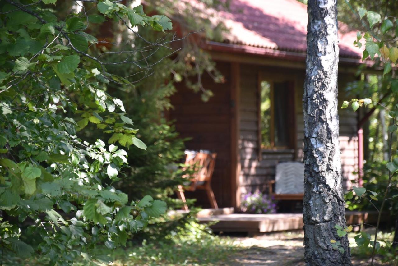 Berzu Namelis - Birch Cabin Kutsyuny Exterior foto