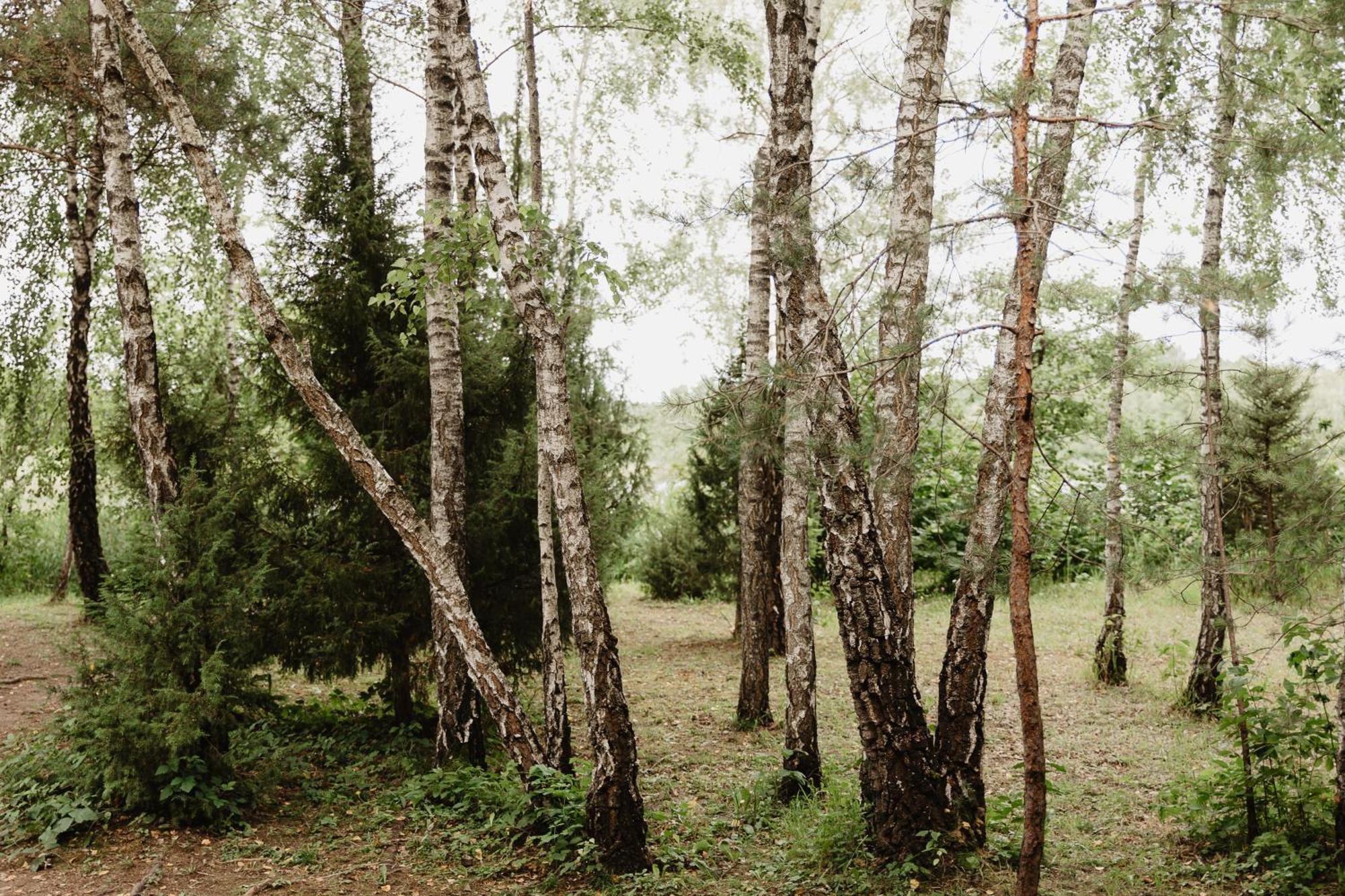 Berzu Namelis - Birch Cabin Kutsyuny Exterior foto